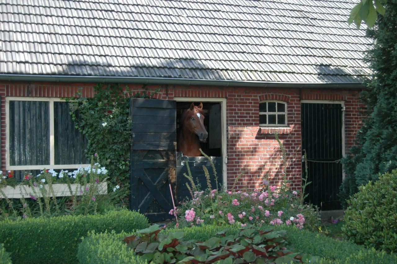 Erve Het Roolvink Boerderij Appartementen 40-50 M2 Enschede Eksteriør billede