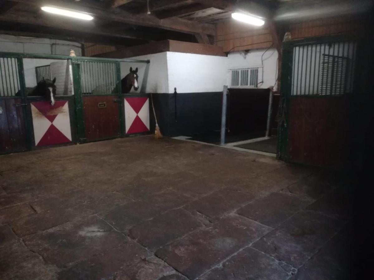 Erve Het Roolvink Boerderij Appartementen 40-50 M2 Enschede Eksteriør billede