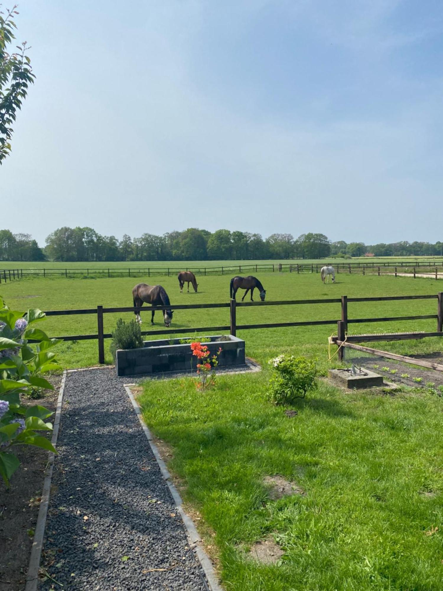 Erve Het Roolvink Boerderij Appartementen 40-50 M2 Enschede Eksteriør billede