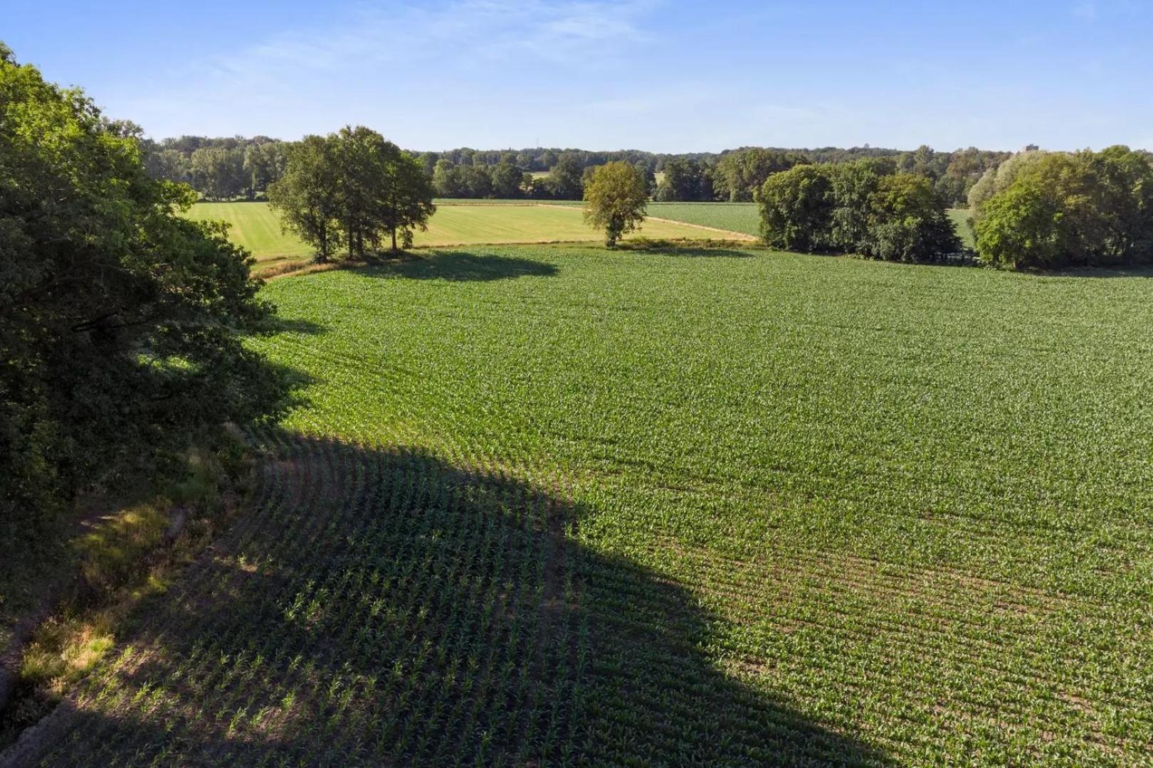 Erve Het Roolvink Boerderij Appartementen 40-50 M2 Enschede Eksteriør billede